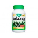 Black Cohosh 北美升麻  