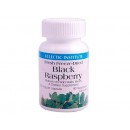 Black Raspberry 黑樹莓  