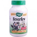 Feverfew 小白菊 