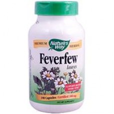 Feverfew 小白菊 