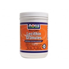 Lecithin Granules  卵磷脂 (顆粒)