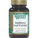 Mulberry Leaf Extract 桑椹精華