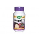 Mangosteen 山竹素