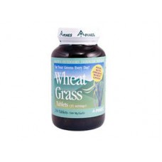 Wheat Grass 小麥草 Pines International